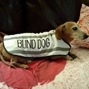 Meet your Posher, Kay